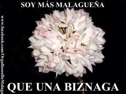 Malagueña