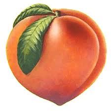 TheWynneCartel's profile picture. 