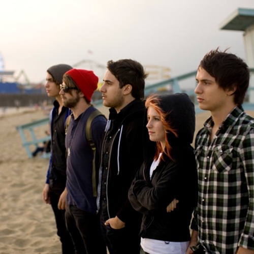 rockandrugs's profile picture. 