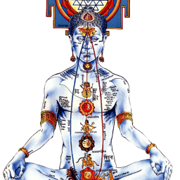 Ramachandr3's profile picture. Antropólogo. Dj. Drumer. Dancer. Yogui Ji... .Soy humano y nada humano me es ajeno...