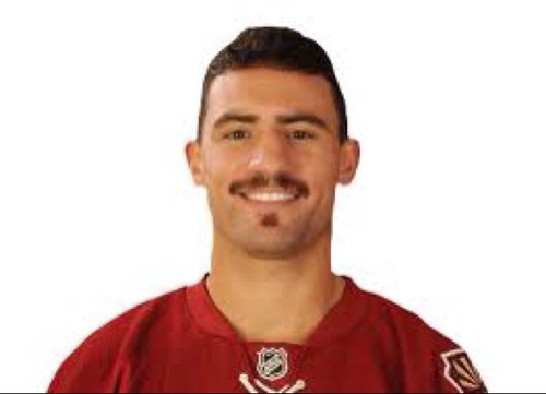 Official cheerleader of the NHL. Leading the League in splinters in my ass. Usually play about 4 minutes a game Parody