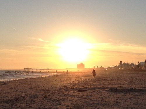 RobinCotler's profile picture. 