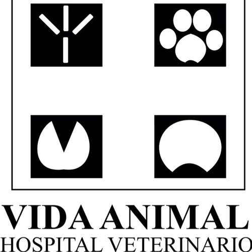 Veterinaria Vida Animal ofrece servicios para tus mascotas en Colima desde hace 31 años la calidad y experiencia nos respaldan. Facebook: @VeterinariaVidaAnimal
