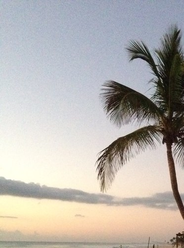 twitedi's profile picture. 