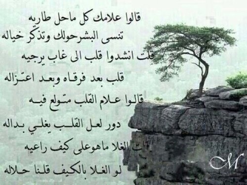 جابر العلي