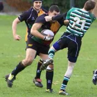 RossRossoconnor's profile picture. Loving life!