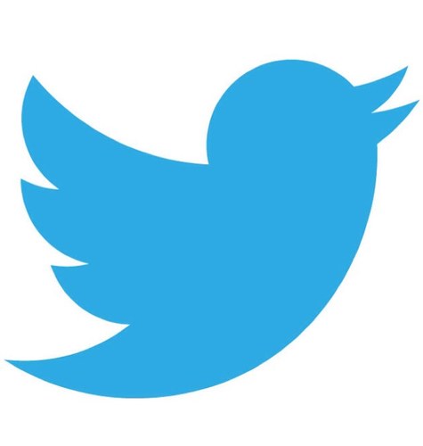 Team Follow Back 100%