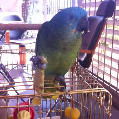 martitob's profile picture. http://t.co/LZygAk8Ob2