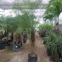 Jorge Luis Trigoso  - @Jorge89Trigoso - Twitter