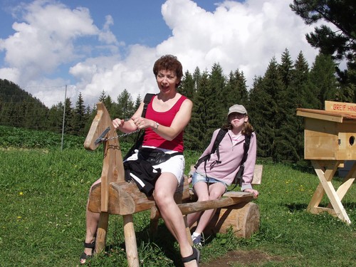 hollystar01's profile picture. 