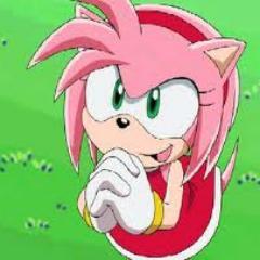 hey. I'm Amy rose! The pink hedgehog~! i'm very nice...but hey..don't piss me off or you will get a hit on your head by my piko piko hummer i love @Blazey_girl