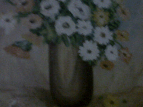 bmoranm's profile picture. 