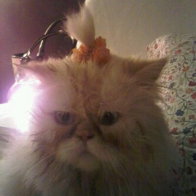 Al Hamid On Twitter شلالات نيا جرا تورونتو كندا Http T Co Ge2r9akd