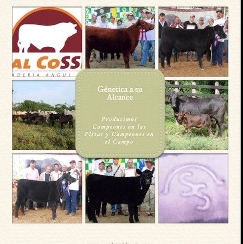 Productores de las razas Aberdeen Angus & Polled Hereford - Colombia