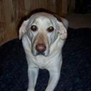 Chris Ahlers - @chrisa_dm - Twitter