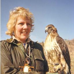 I am an amateur photographer, keen birdwatcher. Love to photograph birds and wildlife. I flew hawks for many years until injury but still love birds of prey.