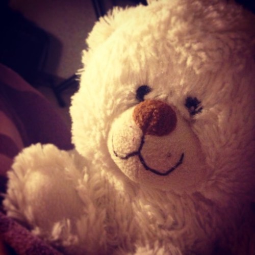 Hallo. Ich bin Paul der Bär! Ich bin ganz lieb und will nur #kuscheln.