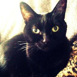 Mexican living in Minnesota, photographer, blogger, cat lover, always a traveler, never a tourist. Viva Mexico!