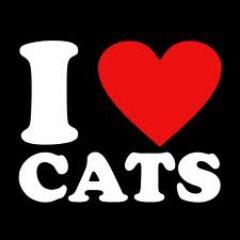 Iheart_cats's profile picture. cat love, cute cats, kittens and anything furry