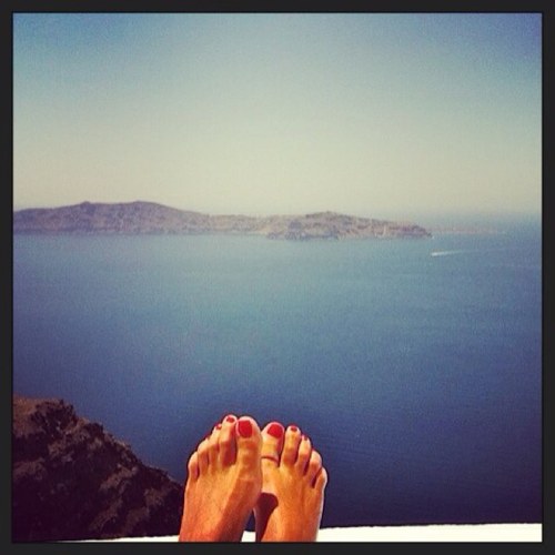 bushtiger's profile picture. 