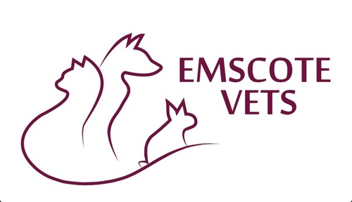 A new veterinary surgery run by Mary Martin and Paula Bailey in Warwick. We look forward to treating your dogs, cats, rabbits and small furries.