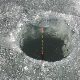 copasa1's profile picture. 