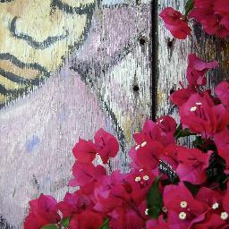 _jita_'s profile picture. 