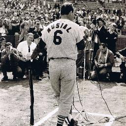 TShelll's profile picture. How about that.