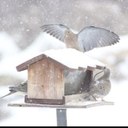 Connie Simpson - @Bikes3Connie - Twitter