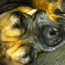 Clay Tyson - @claydtyson - Twitter