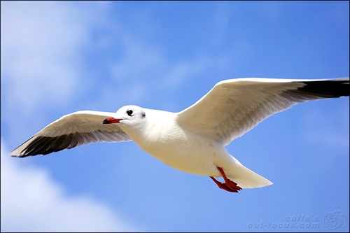 pjj0127's profile picture. 