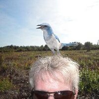 billy cox (@billeecox) 's Twitter Profile