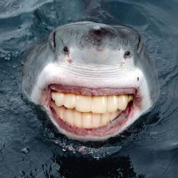 WBSSnackShack's profile picture. i lik biG toys