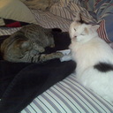 lala green - @lalagreen4 - Twitter