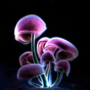 Nathaniel lord - @JokerNathaniel - Twitter