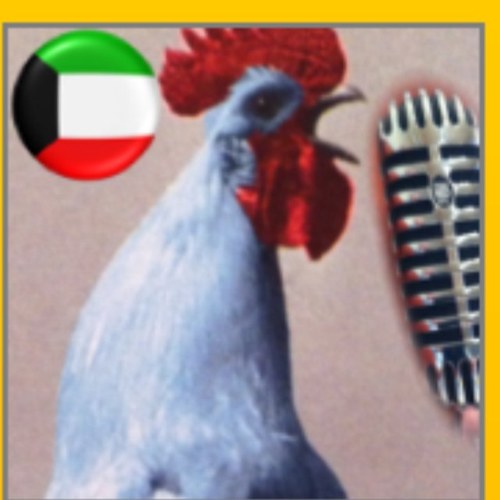 الكويت فقط