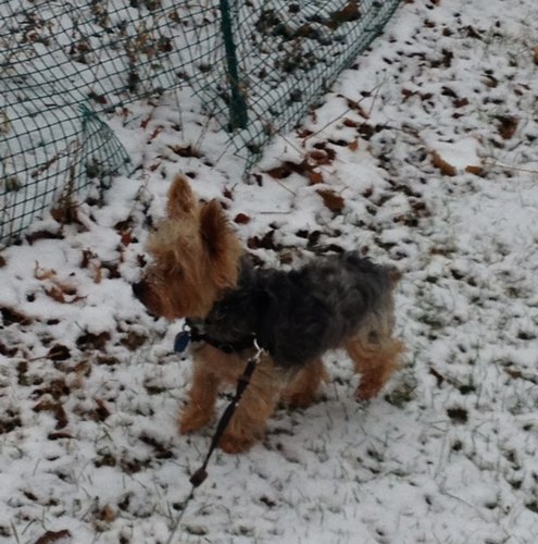 missboston02's profile picture. Trying to live the American Dream