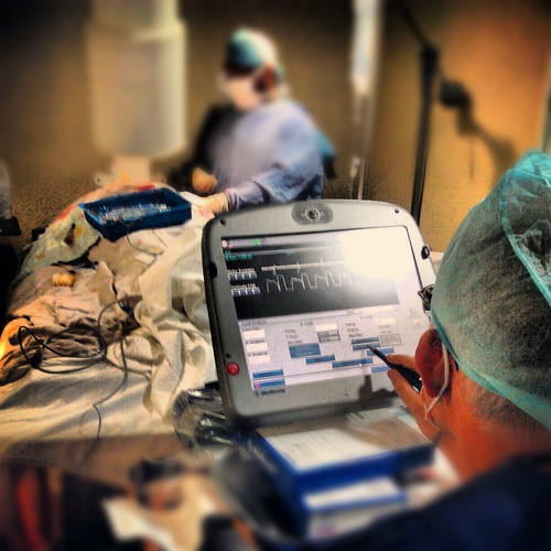 Doctor en Medicina