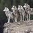 The4WolfPack's profile image