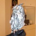 Rick McCoy - @btchiker - Twitter