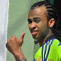 Fake #oficial do Wesley. Camisa 87 do Palmeiras, contratação mais caro do Palmeiras nos últimos anos, esse cara sou eu!