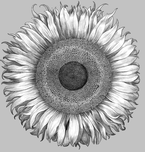 ABFlowersEvents's profile picture. At Anthony Brownie flowers + events we have a singular vision: to make your event the perfect reflection of your sensibilities, passions and joys.