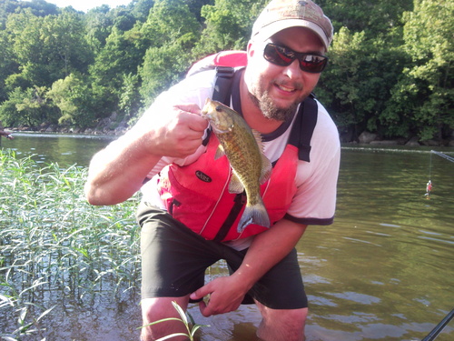 joedadgumlackey's profile picture. 