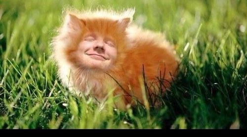 DimpleDirection's profile picture. 