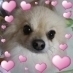 好きなもの♡裁縫♡料理♡スポーツ観戦♡クレージュの♡レオナールの鮮やかプリント♡タッキー♡EXILE♡サックス奏者ケニーＧ♡愛犬はチワポメのミックス♦プリンス君12/29生で６才♬ぷぅちゃんです★宜しくお願いします♪