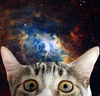 HipsterGalactic's profile picture. 