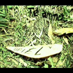 yourielito's profile picture. 