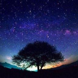 ArashAfshar20's profile picture. 