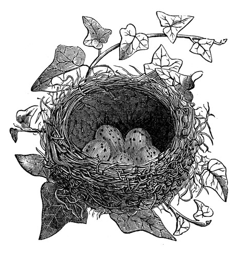 Bird on a Wire Designs is a small jewelry making business with vintage flair and handmade love.
