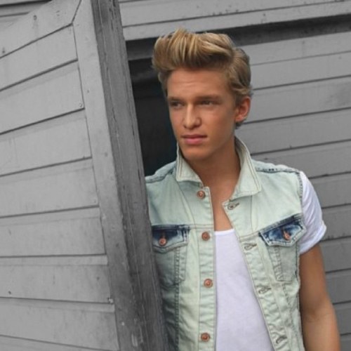Dedicated Angel. Just ask for a follow back! xxx